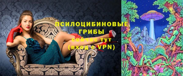 спиды Анжеро-Судженск