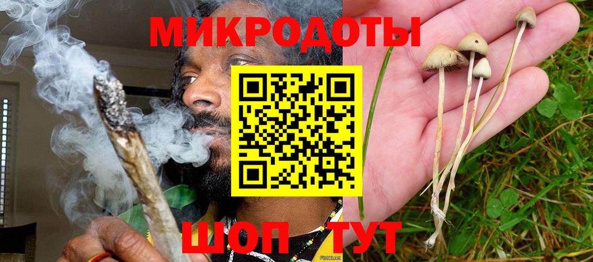 Псилоцибиновые грибы ЛСД Бугуруслан