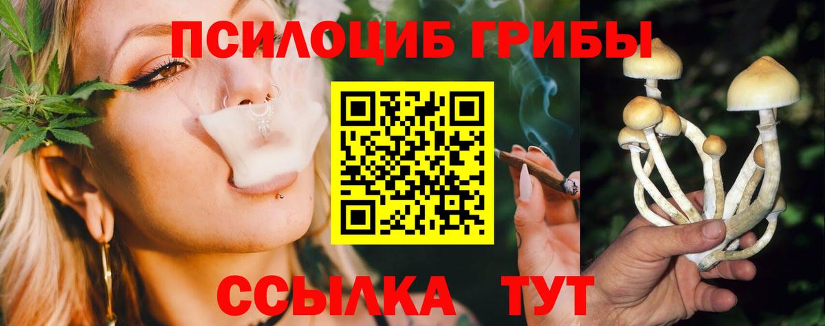 Псилоцибиновые грибы Psilocybe Бугуруслан
